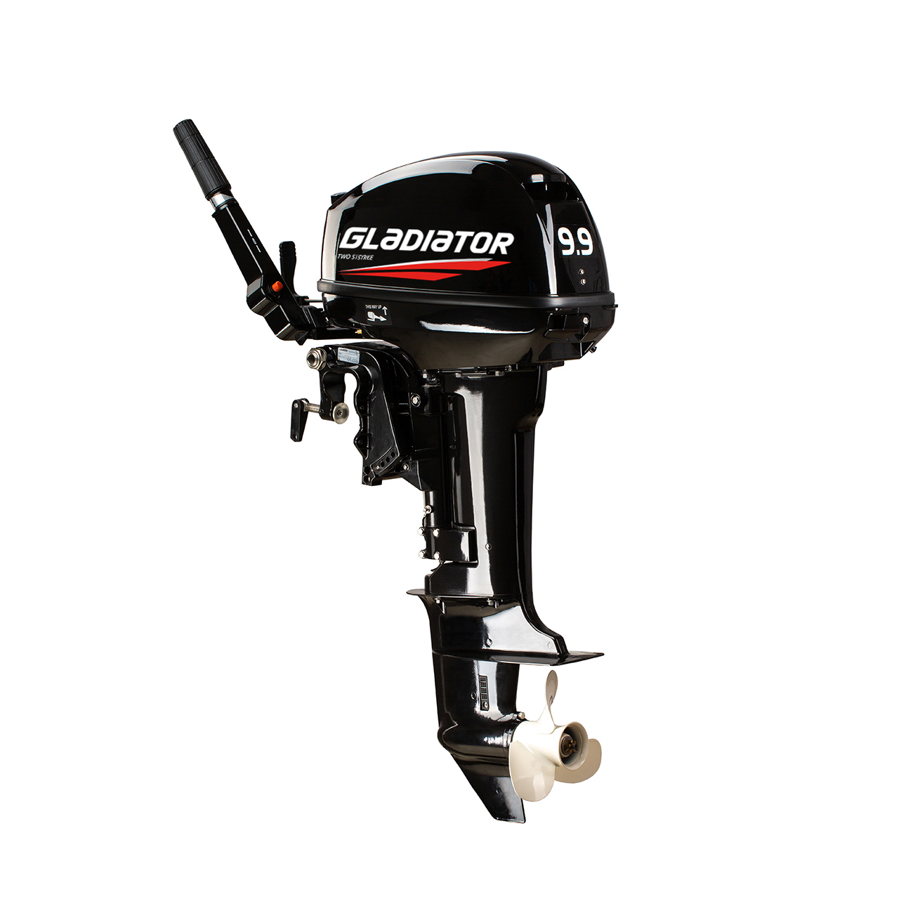 ЛОДОЧНЫЙ МОТОР GLADIATOR G9.9FHS в Черкесске