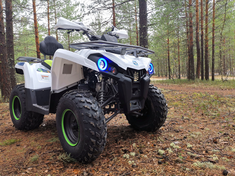 Квадроцикл PROMAX RENEGADE 280 (2025) в Черкесске