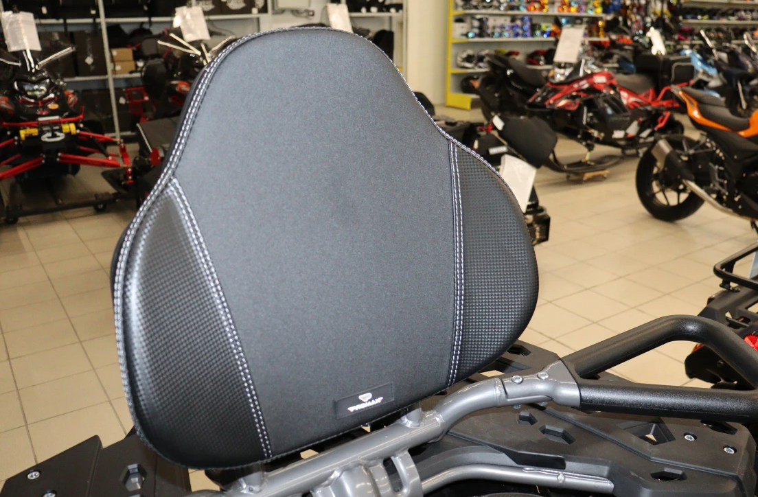 Квадроцикл PROMAX RENEGADE 300 LONG WINCH PRO (2025) в Черкесске