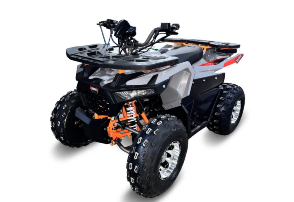 Квадроцикл GBM DAXTER 220 NEW PREMIUM в Черкесске