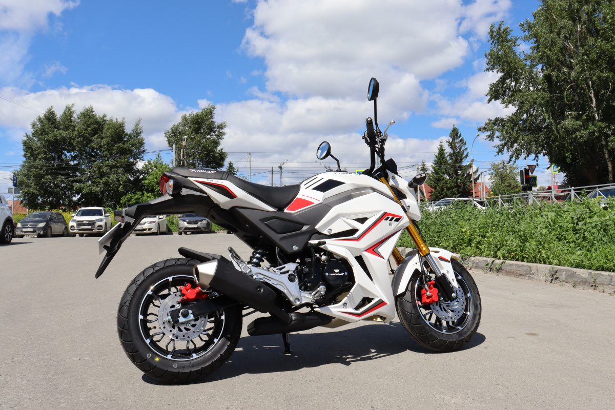 Мотоцикл PROMAX STRYKER 200(49) 2.0 в Черкесске