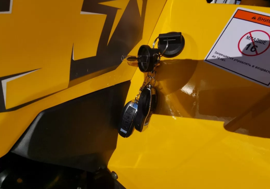 Квадроцикл MOTOLAND (МОТОЛЕНД) VOX200 WILD TRACK X PRO (баланс. вал) в Черкесске