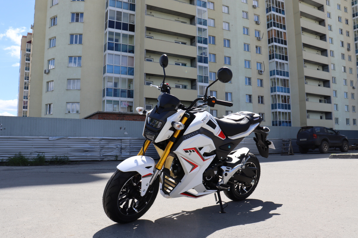 Мотоцикл PROMAX STRYKER 200(49) 2.0 в Черкесске