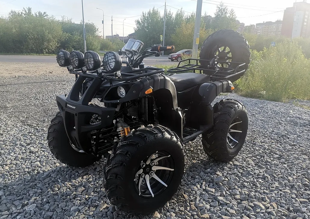Квадроцикл PROMAX LEO 300 Max (кардан) в Черкесске