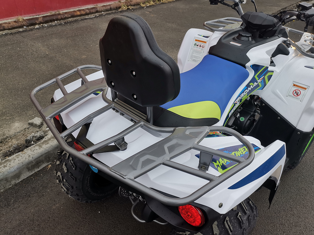 Квадроцикл PROMAX RENEGADE 280 LUX (2025) в Черкесске