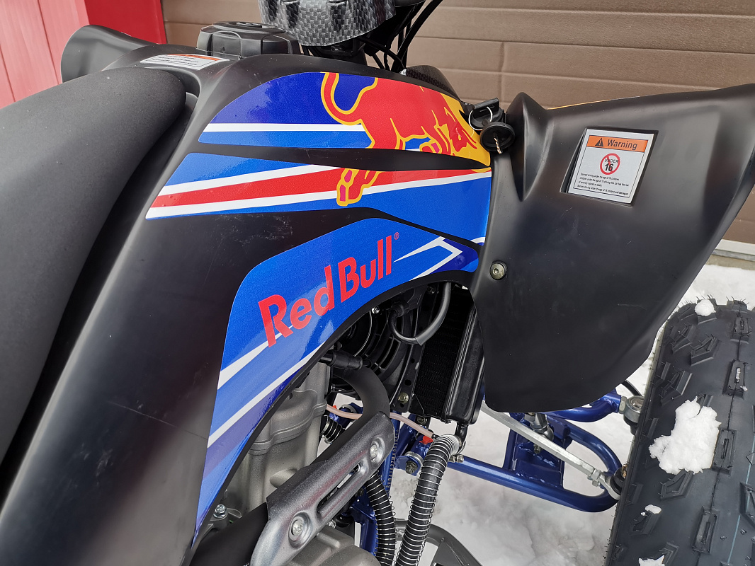 Квадроцикл PROMAX RAPTOR 300 NEW RedBull в Черкесске