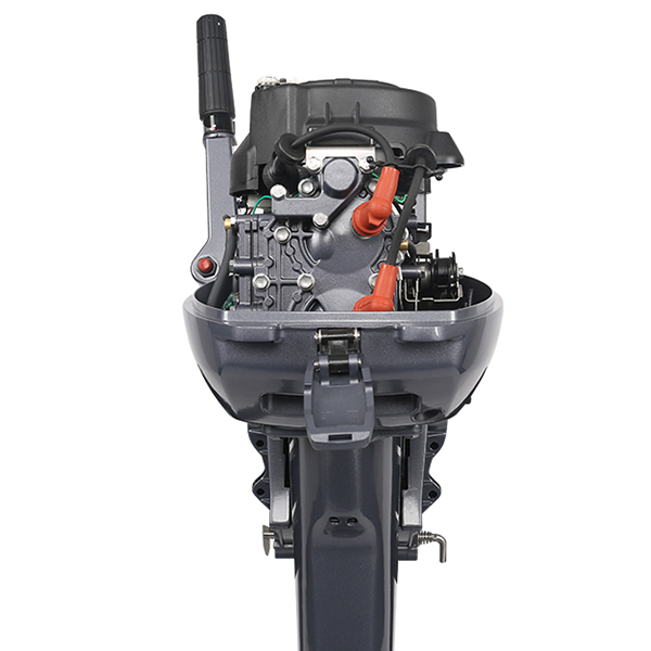 ЛОДОЧНЫЙ МОТОР ALLFA CG Т9,9 Limit в Черкесске