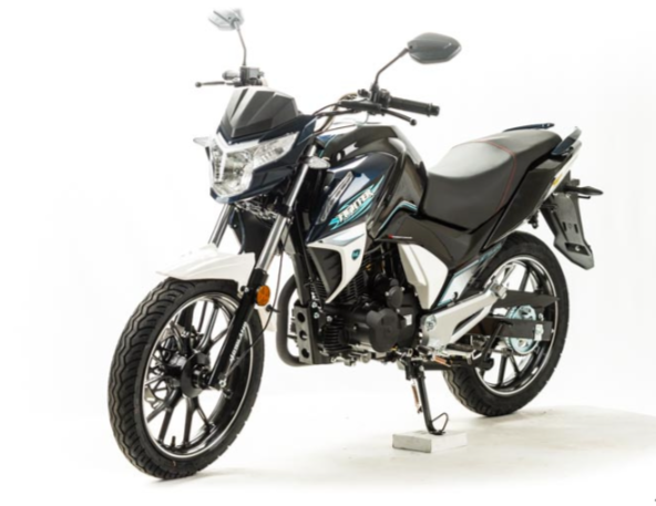 Мотоцикл MOTOLAND (МОТОЛЕНД) FIGHTER 250 в Черкесске