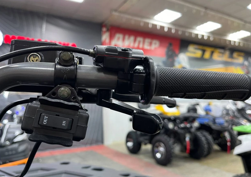 Квадроцикл PROMAX RENEGADE 300 LONG WINCH PRO (2025) в Черкесске