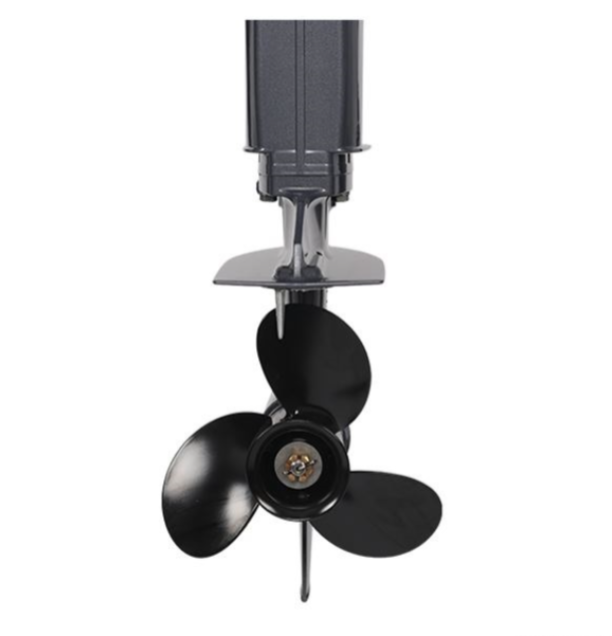 Лодочный мотор ALLFA CG Т40FW S в Черкесске