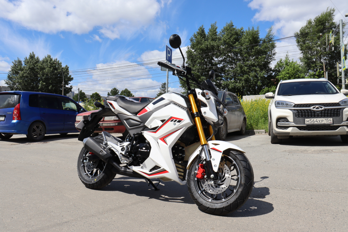 Мотоцикл PROMAX STRYKER 200(49) 2.0 в Черкесске