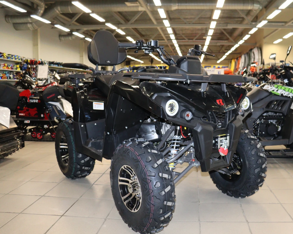 Квадроцикл PROMAX RENEGADE 300 LONG WINCH PRO (2025) в Черкесске