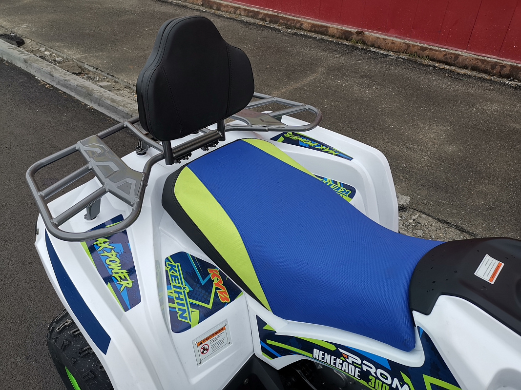 Квадроцикл PROMAX RENEGADE 280 LUX (2025) в Черкесске