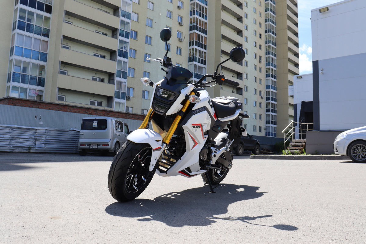 Мотоцикл PROMAX STRYKER 200(49) 2.0 в Черкесске