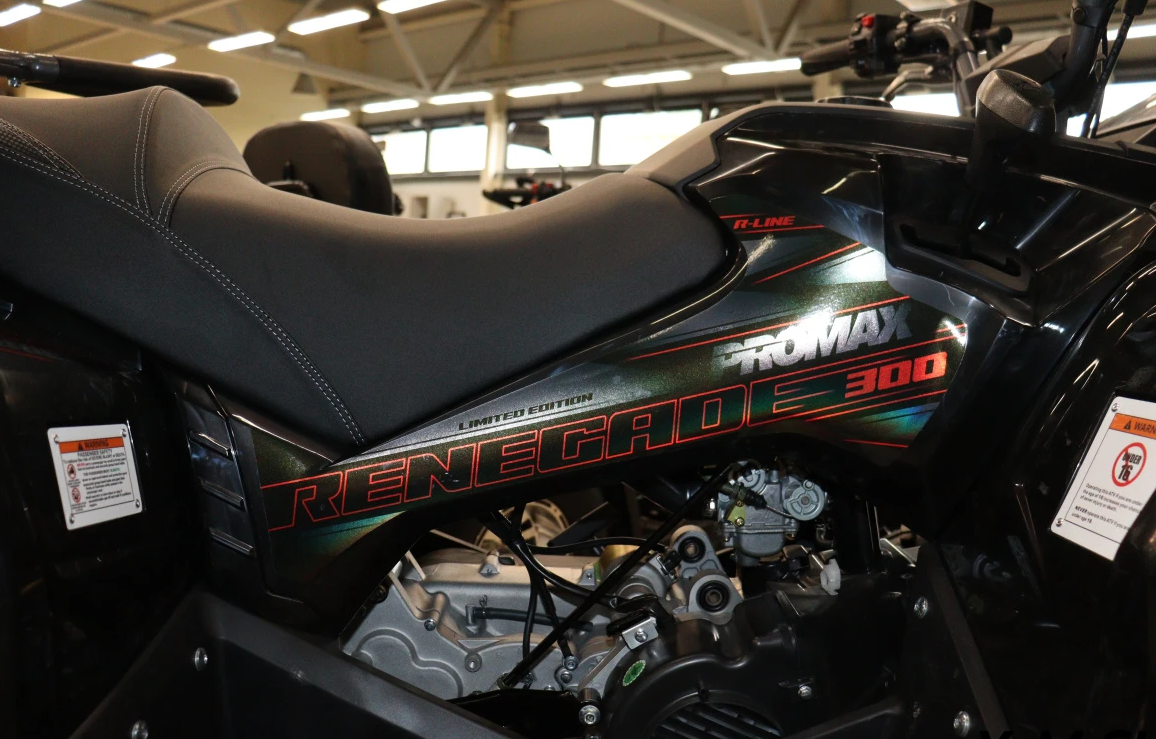 Квадроцикл PROMAX RENEGADE 300 LONG WINCH PRO (2025) в Черкесске