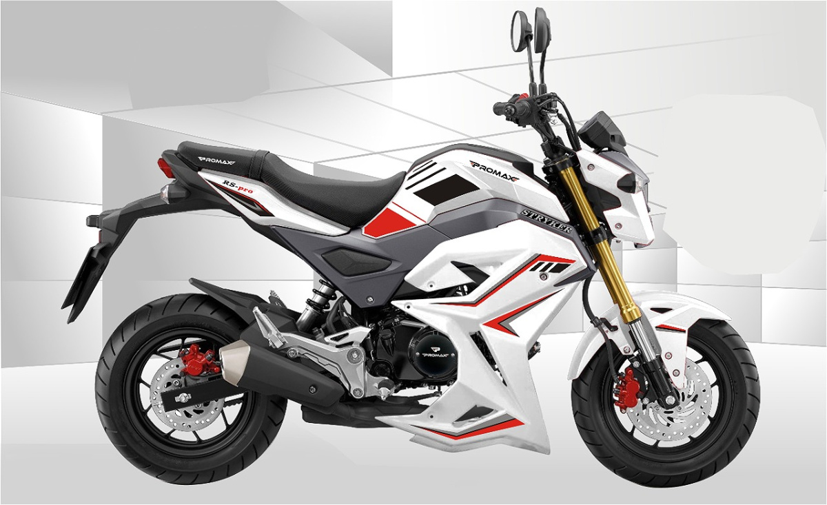 Мотоцикл PROMAX STRYKER 200(49) 2.0 в Черкесске