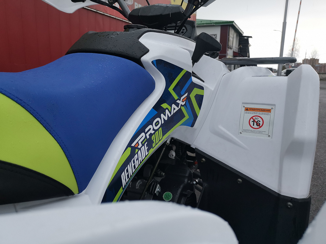 Квадроцикл PROMAX RENEGADE 280 LUX (2025) в Черкесске