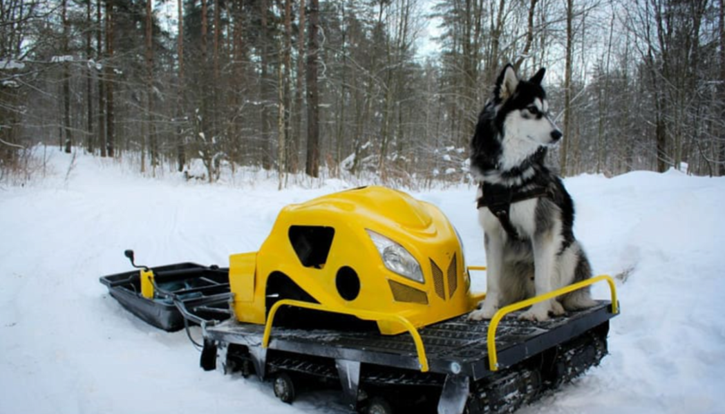 Мотобуксировщик LEBEDEV MOTORS ВОЛКОДАВ POWER V13 в Черкесске