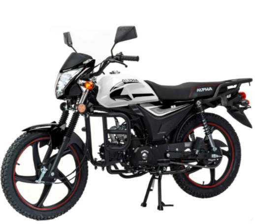 Мопед MOTOLAND (МОТОЛЕНД) Альфа RS 11 (LM48-B) в Черкесске