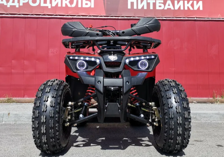 Квадроцикл PROMAX WILD 175 BASIC в Черкесске