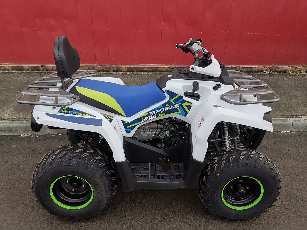 Квадроцикл PROMAX RENEGADE 280 LUX (2025) в Черкесске