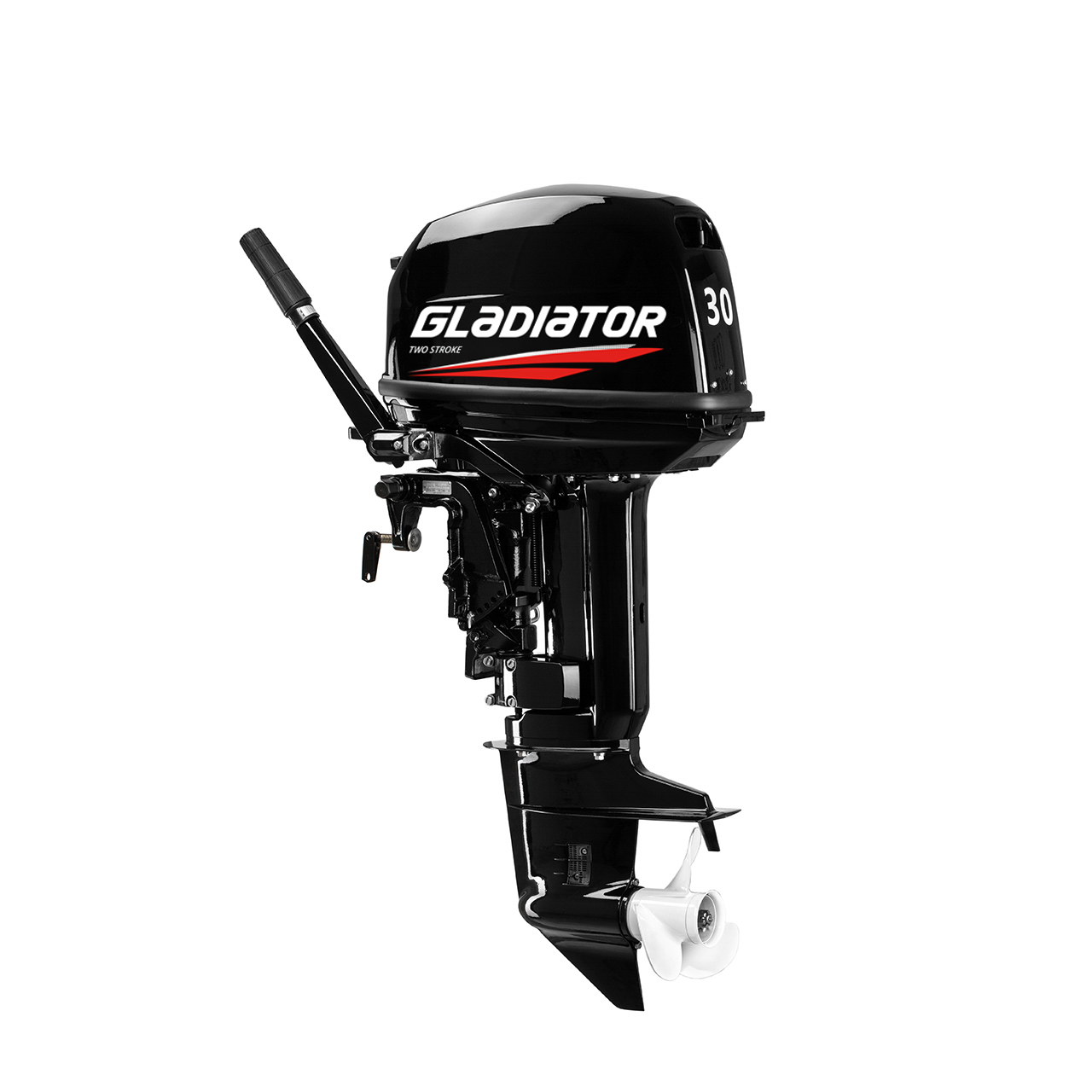 ЛОДОЧНЫЙ МОТОР GLADIATOR G30FHS в Черкесске