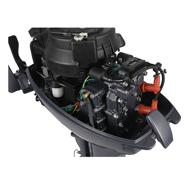 ЛОДОЧНЫЙ МОТОР ALLFA CG Т9,9 Limit в Черкесске