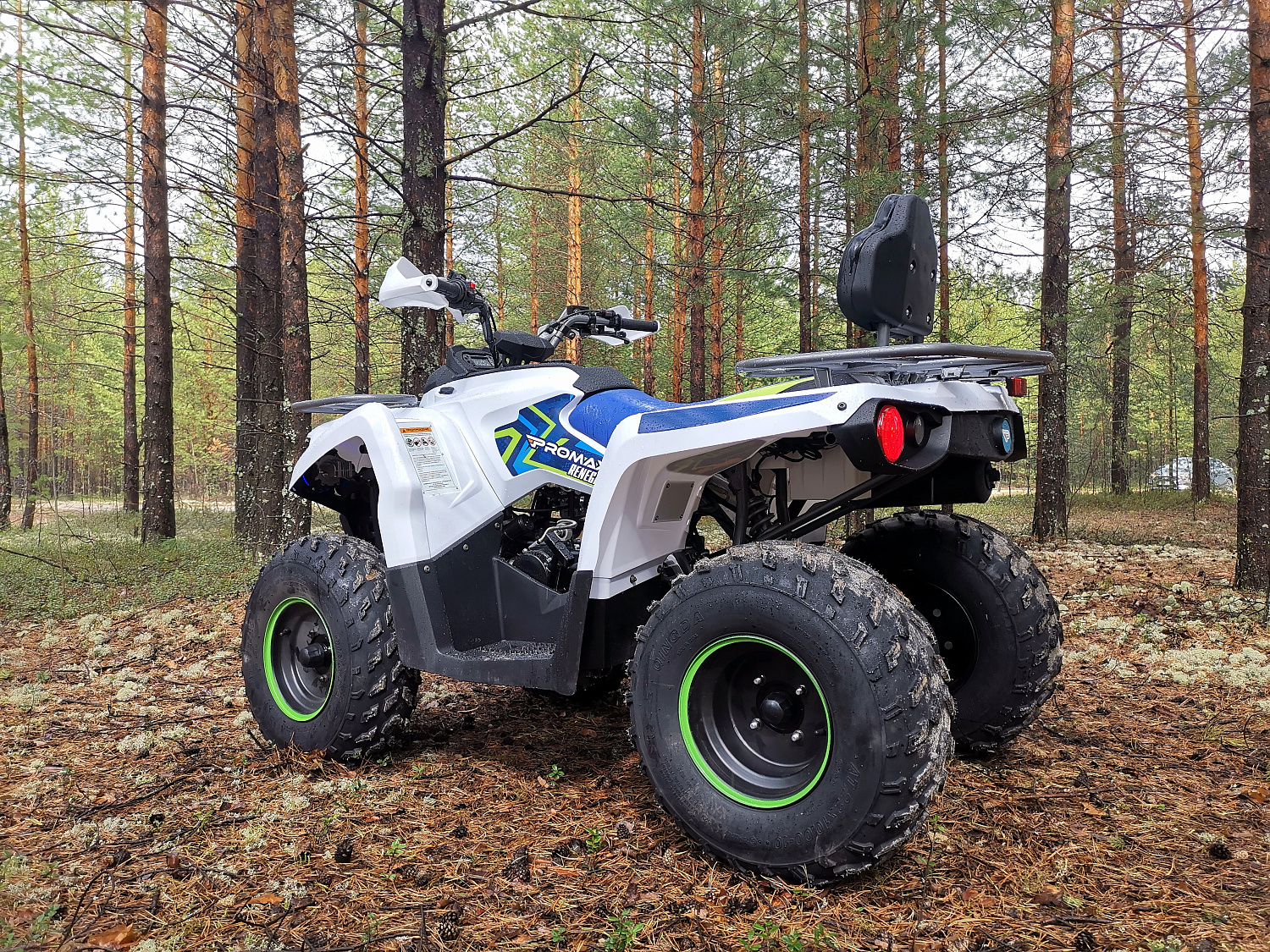 Квадроцикл PROMAX RENEGADE 280 (2025) в Черкесске