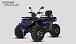 Квадроцикл PROMAX TAURUS 300 MAX-PRO LONG в Черкесске