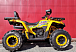 Квадроцикл PROMAX STORM 280 LUX в Черкесске