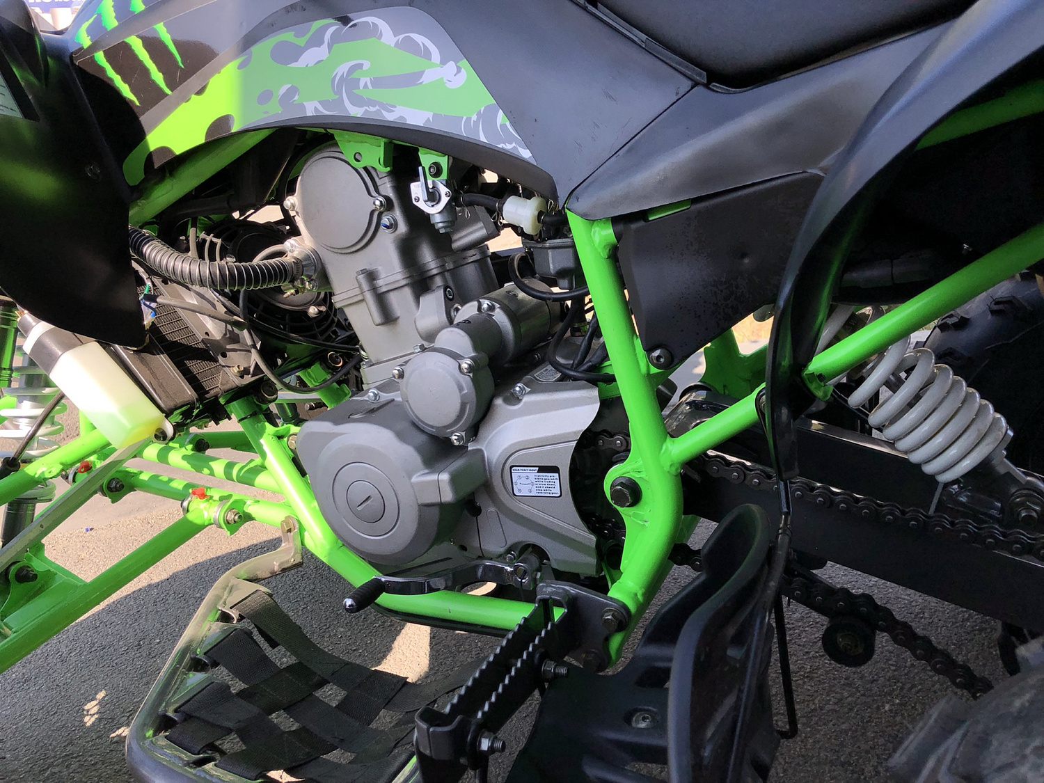 Квадроцикл PROMAX RAPTOR 300 NEW Monster в Черкесске