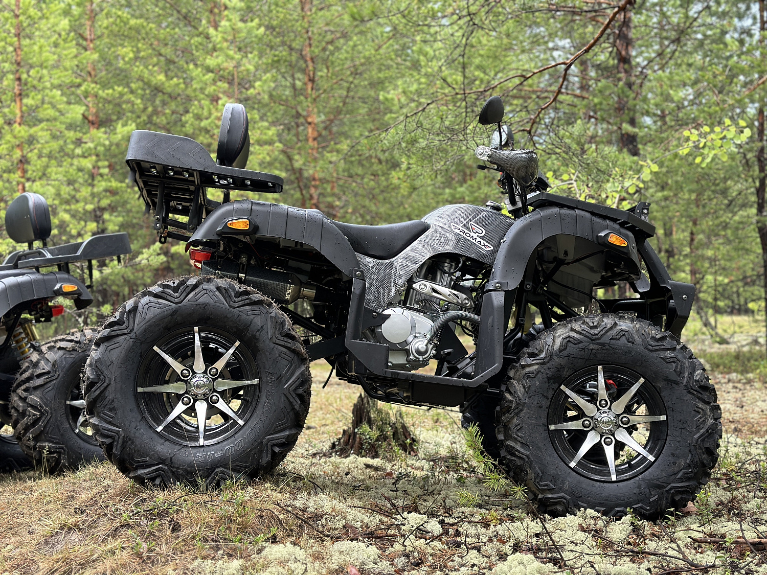 Квадроцикл PROMAX 320 DOMINATOR (2025) в Черкесске