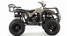 Квадроцикл MOTOLAND (МОТОЛЕНД) 200 ALL ROAD в Черкесске