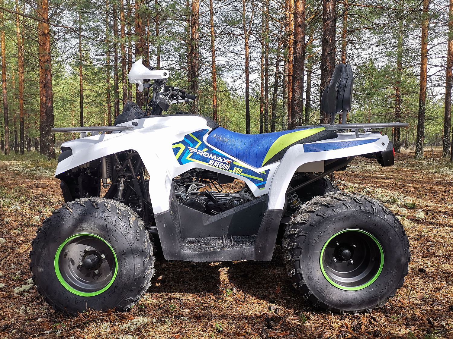 Квадроцикл PROMAX RENEGADE 280 (2025) в Черкесске