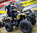 Квадроцикл PROMAX ATV 250 (2025) в Черкесске