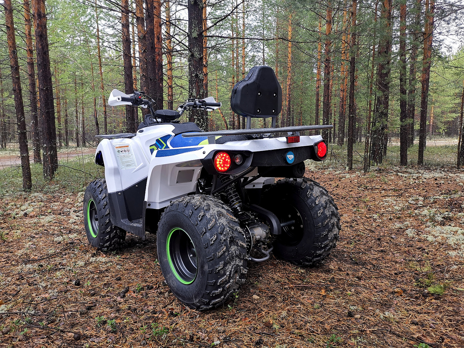 Квадроцикл PROMAX RENEGADE 280 (2025) в Черкесске