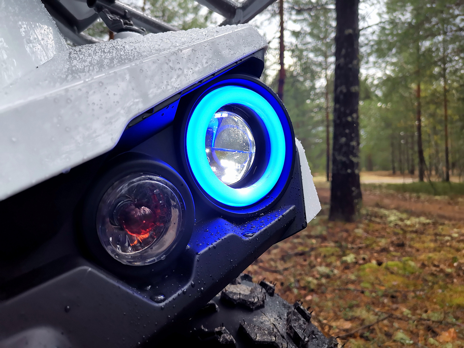 Квадроцикл PROMAX RENEGADE 280 (2025) в Черкесске