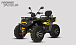 Квадроцикл PROMAX TAURUS 300 MAX-PRO LONG в Черкесске